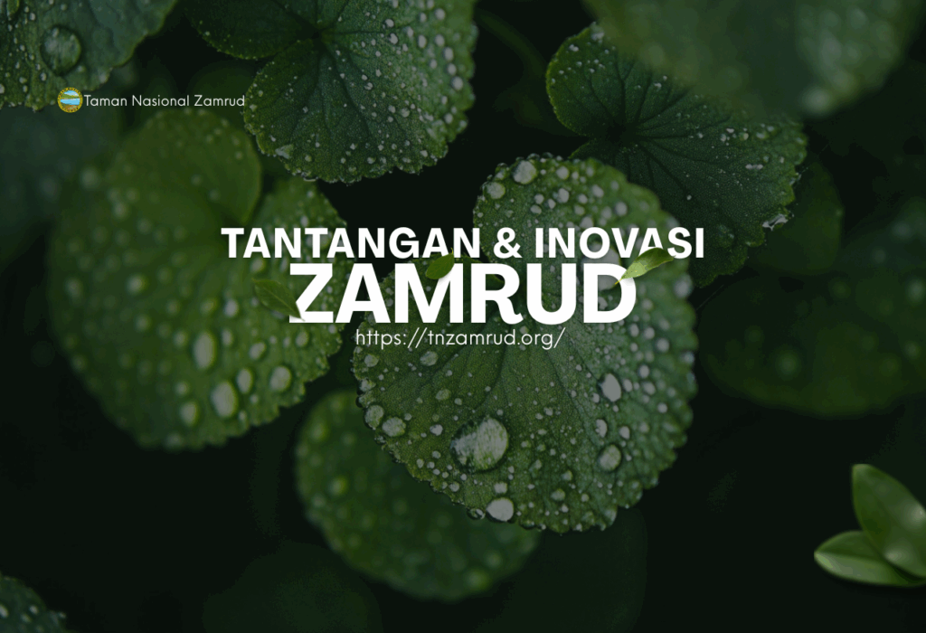 tnzamrud